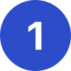 17لیوی